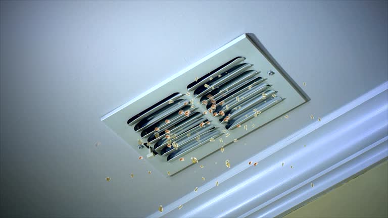 Best Affordable Air Duct Cleaning  in Rancho Mission Viejo, CA